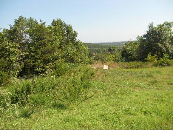000 Pine Woods Village Drive - Photo 1