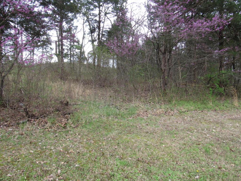 Tbd-West Rockford Drive - Photo 1