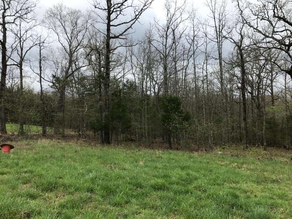 Lot 35 Highpoint Circle - Photo 1