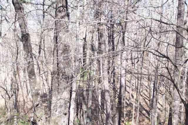 Tbd Slaughter Road - Photo 1