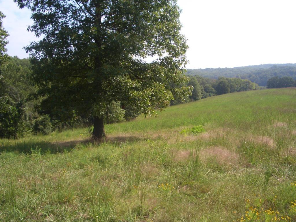 0 Mulberry - Photo 1
