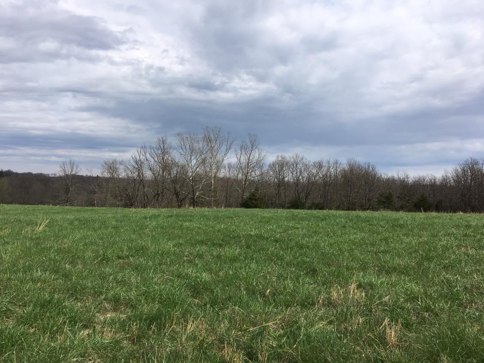 Tbd Finley Road - Photo 1