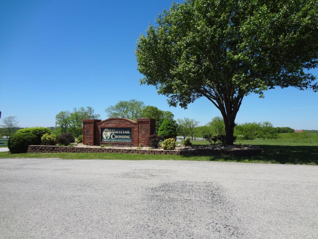 Lot 36 Whitetail Drive - Photo 1