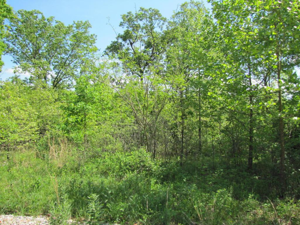 Tbd Hoover Place - Photo 1
