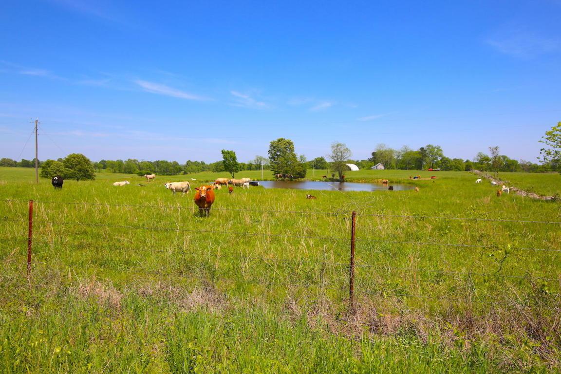None County Road 384 - Photo 1
