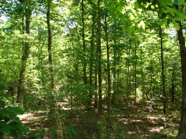 560 Wren Road - Photo 1