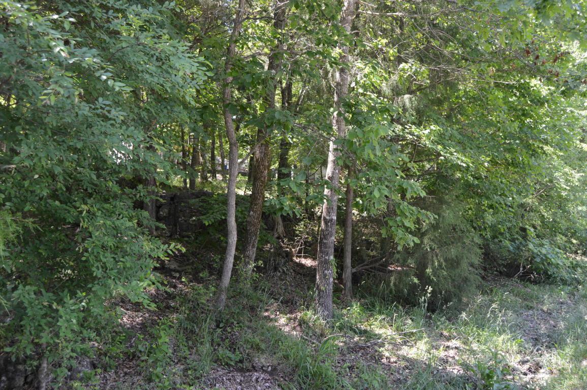 Tbd Wildflower Lots 31, & 32 - Photo 1
