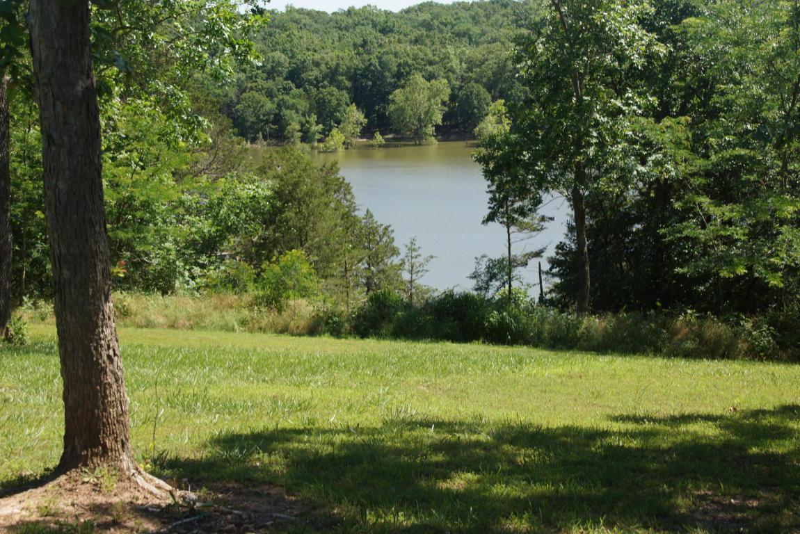 Tbd Kings River Road - Photo 1