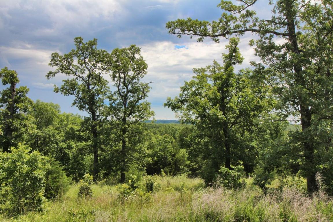 Lot 301 Forest Lake - Photo 1