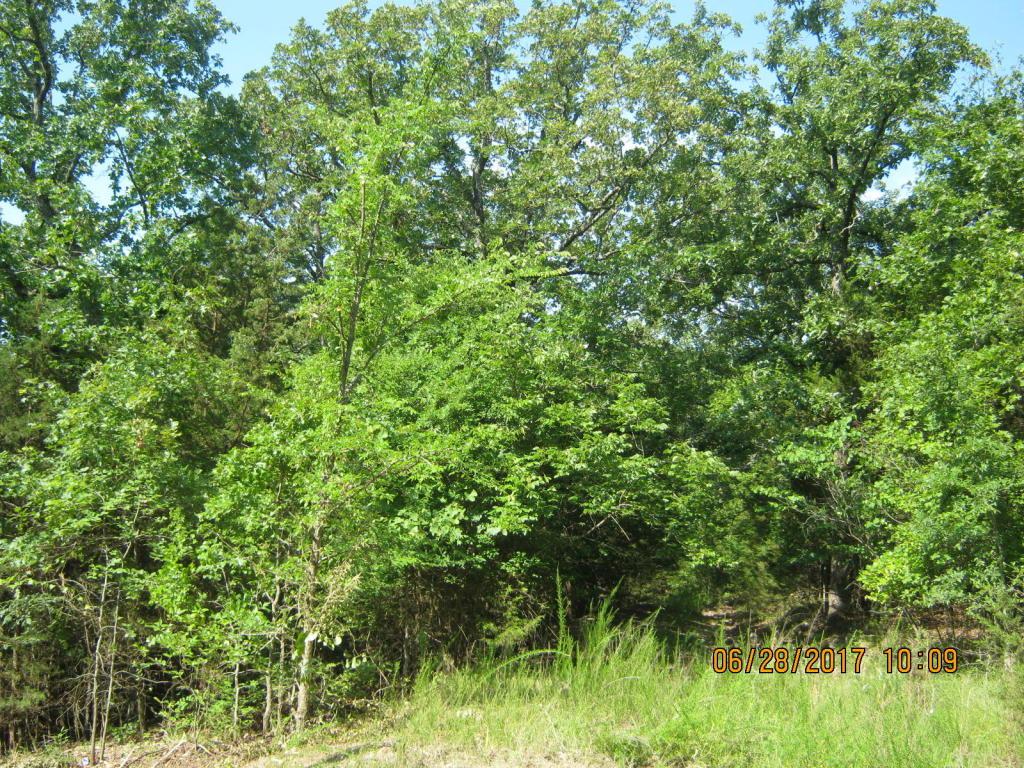 Lts1a 1c Green Cove - Photo 1