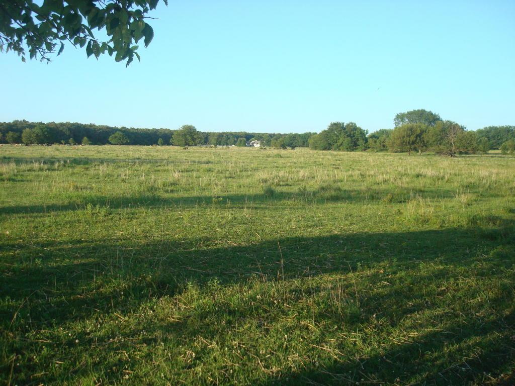 Xxxx Kodiak Road - Photo 1