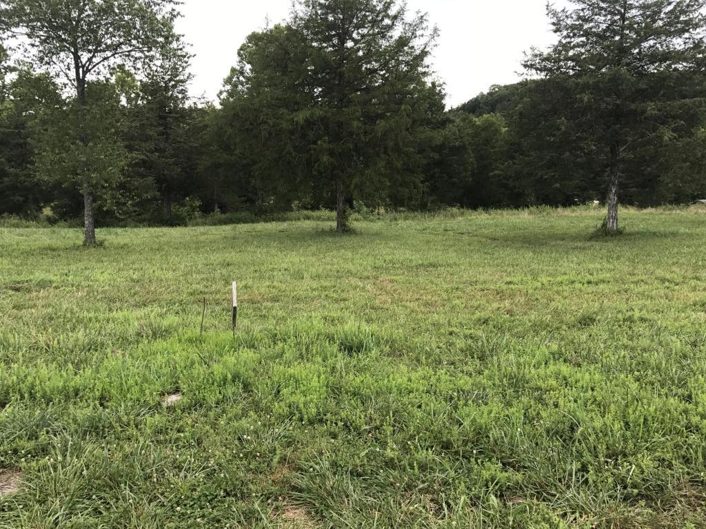 Lot 123 Seven Pines Drive - Photo 1 Lot 123 Seven Pines Drive - Photo 1