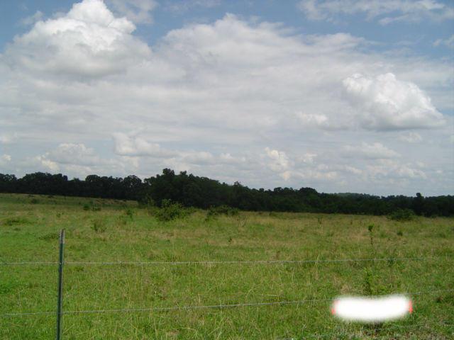 0 Wise Hill Road - Photo 1