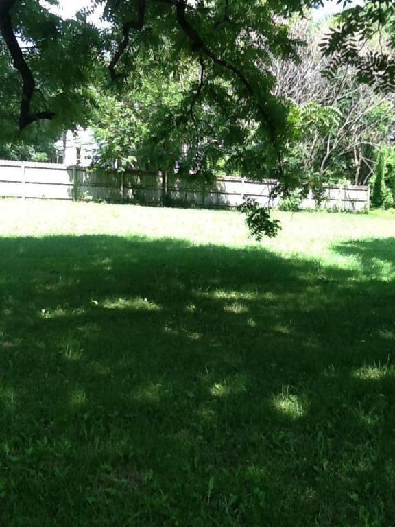213 Hickory Street - Photo 1