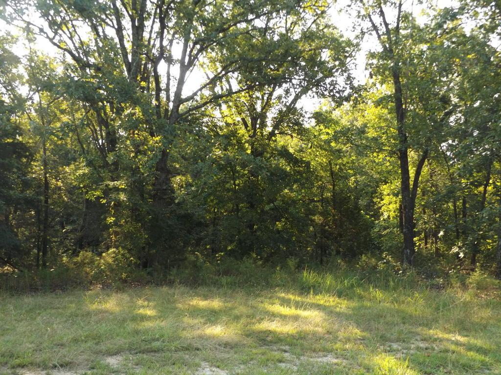 Tbd Woodbury Drive - Photo 1