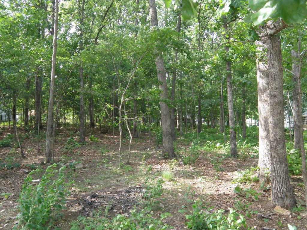 0.34 Ac Dickens Circle - Photo 1
