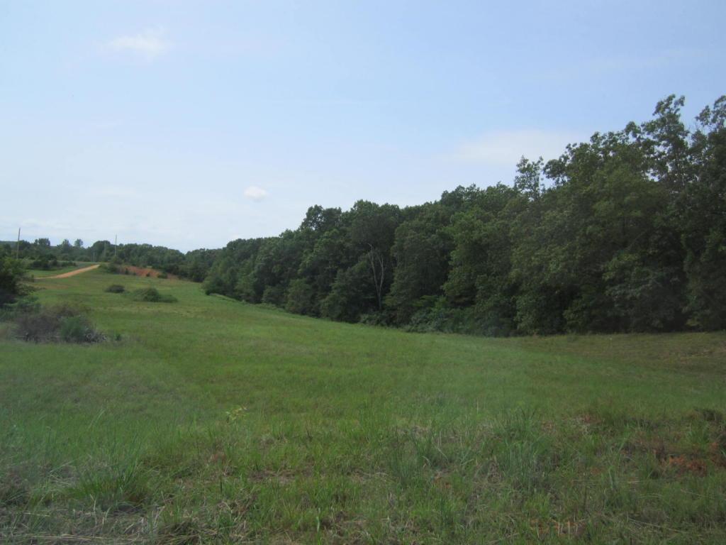 0 Highway 76 & Y - Photo 1