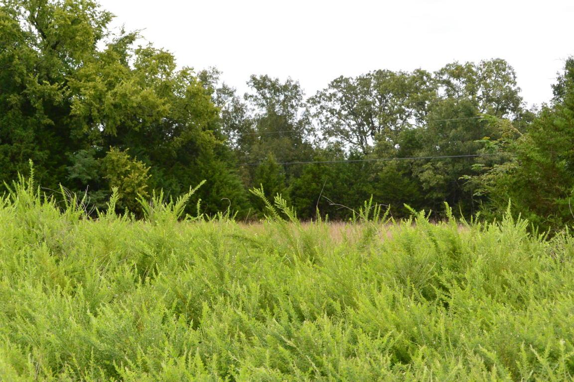 Tbd Mo Ark Road - Photo 1