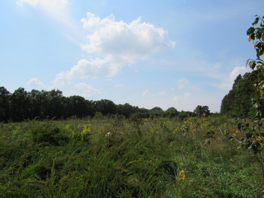 0 395th Road - Photo 1