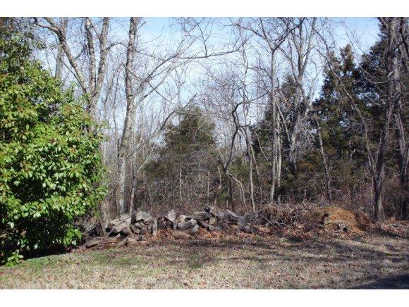 Lot 13 James View Road - Photo 1