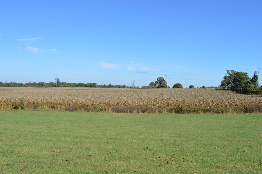 Tbd Hwy 60 And Dyer Ave Tract 2 - Photo 1