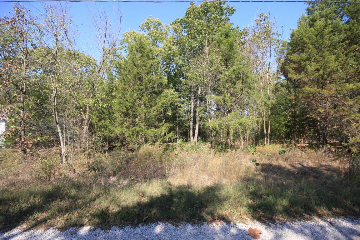 Lot 2 Lake Road Road - Photo 1