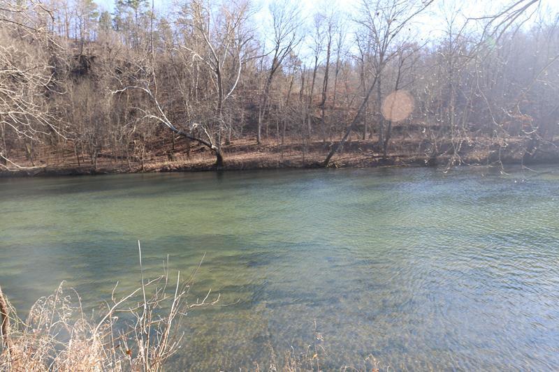 Tbd County Road - Photo 1