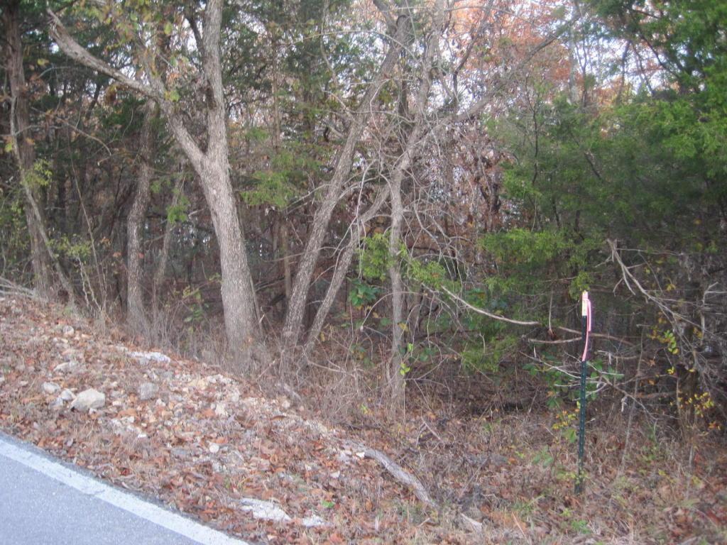 Tbd White Rockbluff Drive - Photo 1