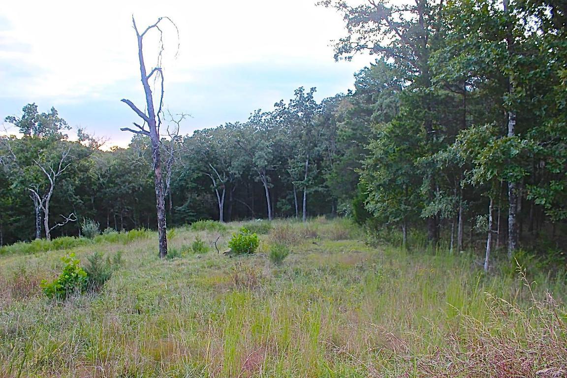 Tbd Woodbury Drive - Photo 1