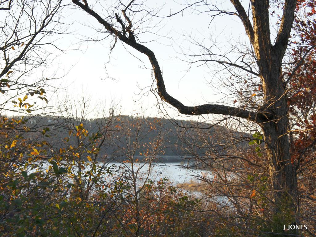 Lot 13a Indian Valley Road - Photo 1