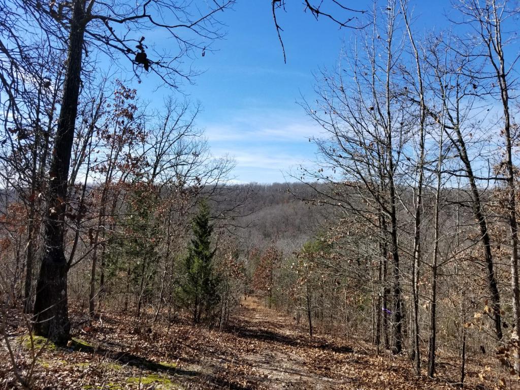 Tbd State Highway Yy - Photo 1