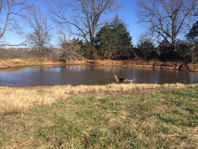66.19acres Pleasant View Road - Photo 1
