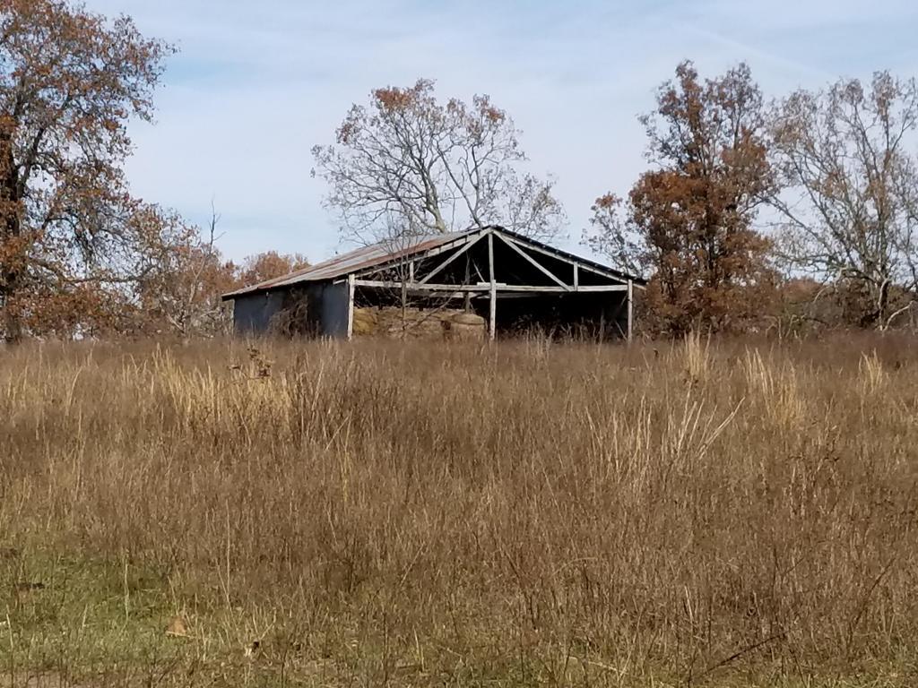 Tbd Wagner Road Road - Photo 1