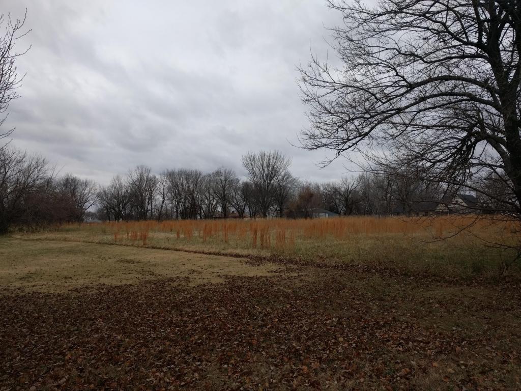 1.7 Acres Highway D - Photo 1