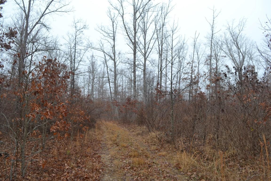 Tbd County Road 651 - Photo 1