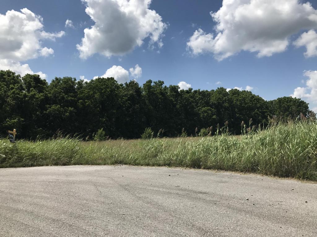 Lot 1 Private Road 2016 - Photo 1