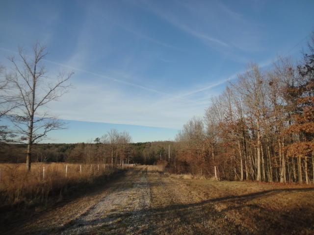 5 Acres On Dogwood Trail - Photo 1