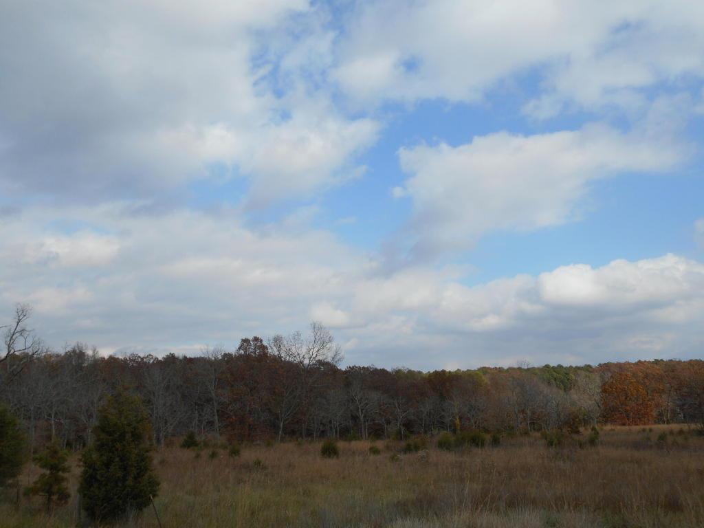 Tbd 63 Highway - Photo 1
