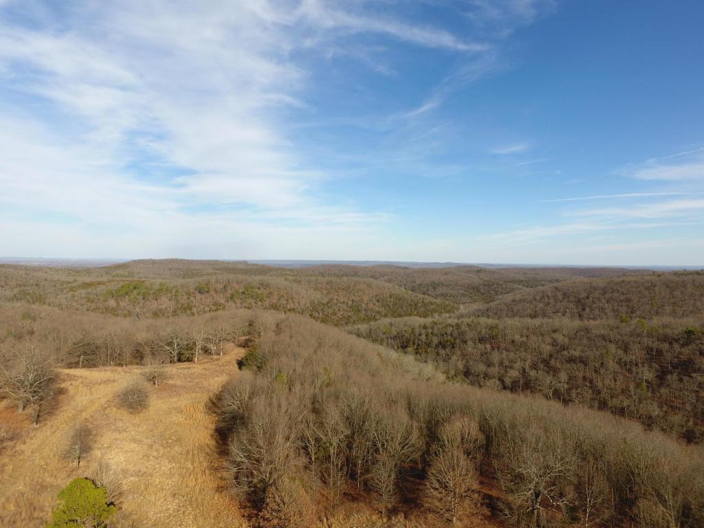 Tbd State Highway Jj - Photo 1