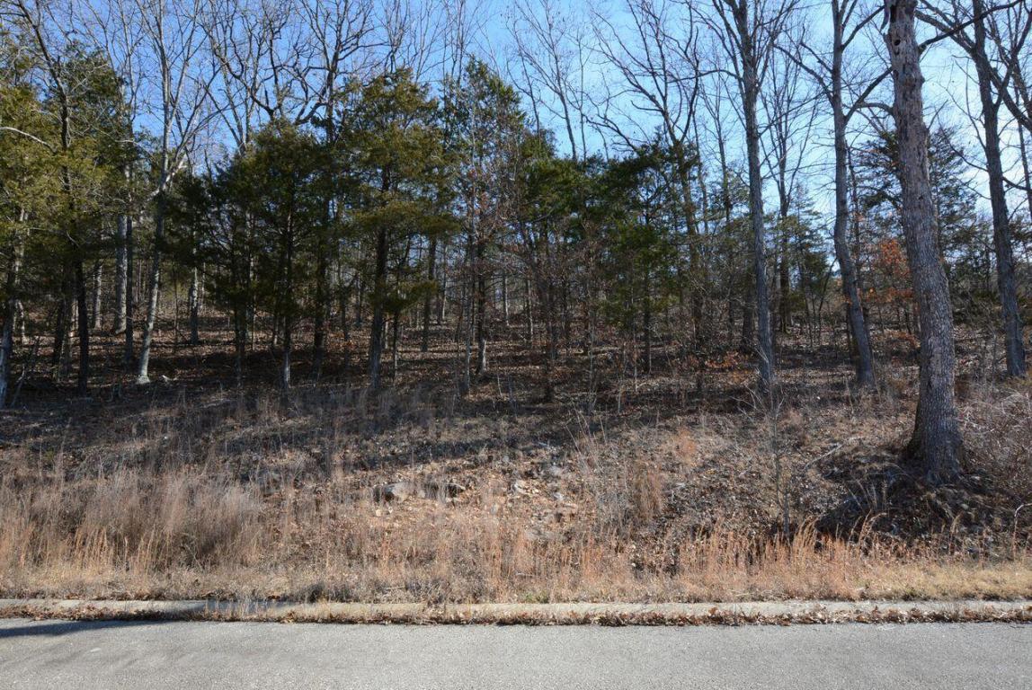 Tbd Emerald Isle Drive - Photo 1