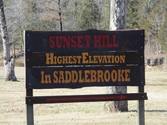 Tbd Sunset Drive - Photo 1