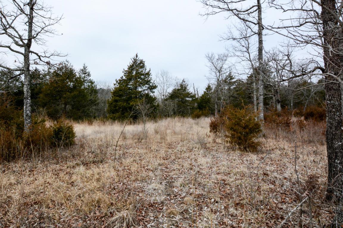 Lot 57 Forest Lake Drive - Photo 1