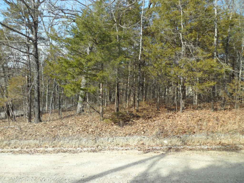 Tbd Mulberry Road - Photo 1