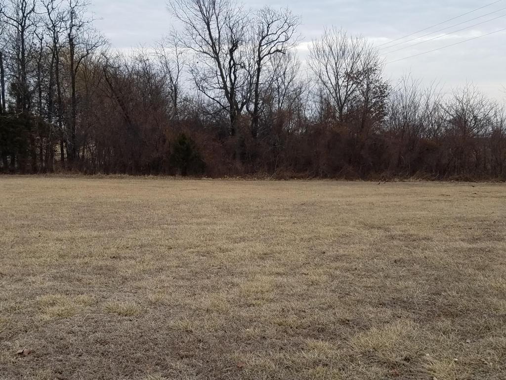 5481 Anita Avenue - Photo 1