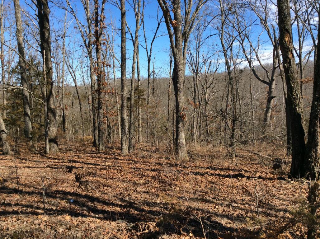 Tbd Tom Creek Road - Photo 1