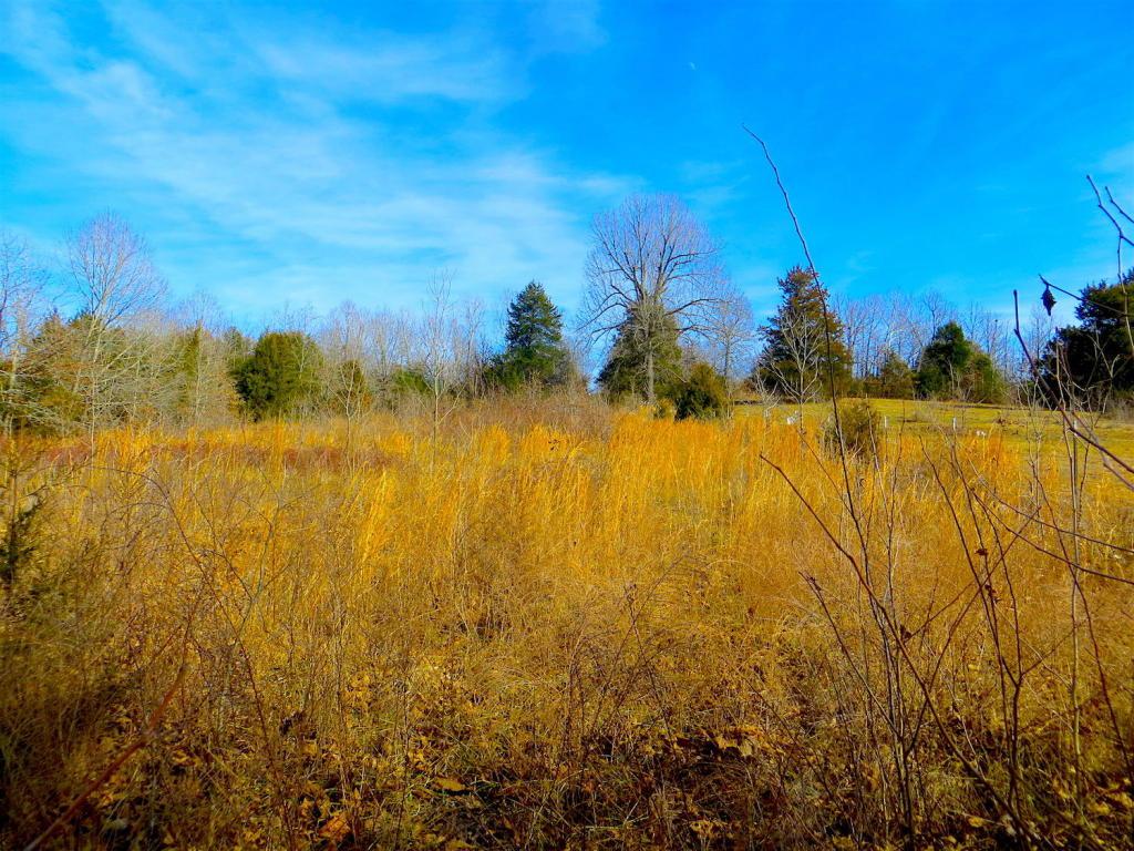 4 Camp Creek Road - Photo 1