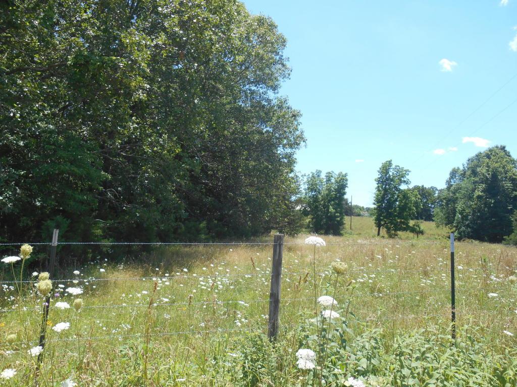 0 Route 17 - Photo 1