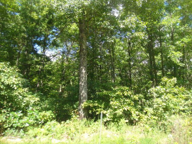 7 Ac Lakeview Trail - Photo 1