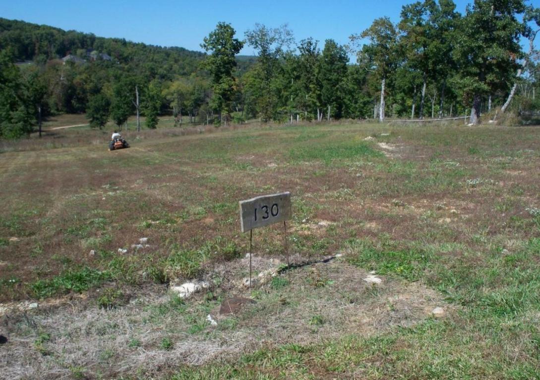 Lots Lots 130-131 Seven Pines Drive - Photo 1