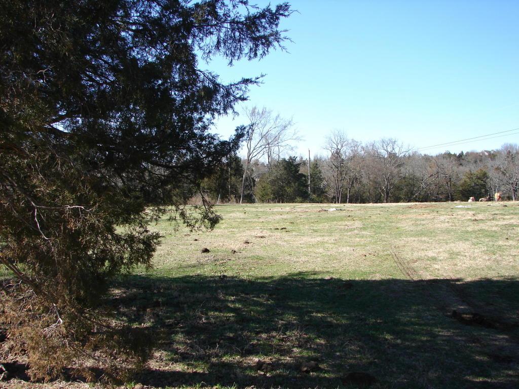 1438 Timberlake Road - Photo 1